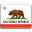 State Flag