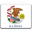 State Flag