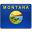 State Flag