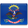 State Flag