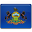 State Flag