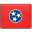 State Flag