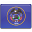 State Flag