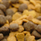 050613-pet food-sm