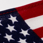 062013-immigration-sm